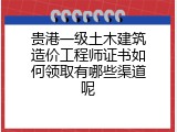 贵港一级土木建筑造价工程师证书如何领取有哪些渠道呢