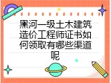 黑河一级土木建筑造价工程师证书如何领取有哪些渠道呢
