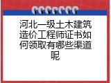 河北一级土木建筑造价工程师证书如何领取有哪些渠道呢
