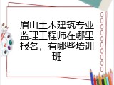 眉山土木建筑专业监理工程师在哪里报名，有哪些培训班