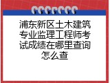 浦东新区土木建筑专业监理工程师考试成绩在哪里查询怎么查