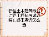 新疆土木建筑专业监理工程师考试成绩在哪里查询怎么查
