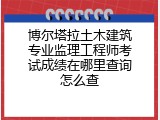 博尔塔拉土木建筑专业监理工程师考试成绩在哪里查询怎么查