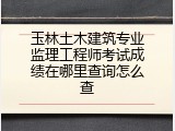玉林土木建筑专业监理工程师考试成绩在哪里查询怎么查