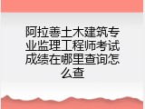 阿拉善土木建筑专业监理工程师考试成绩在哪里查询怎么查