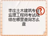 枣庄土木建筑专业监理工程师考试成绩在哪里查询怎么查