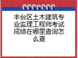 丰台区土木建筑专业监理工程师考试成绩在哪里查询怎么查
