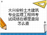 大兴安岭土木建筑专业监理工程师考试成绩在哪里查询怎么查