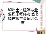 泸州土木建筑专业监理工程师考试成绩在哪里查询怎么查