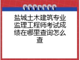 盐城土木建筑专业监理工程师考试成绩在哪里查询怎么查