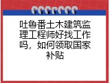 吐鲁番土木建筑监理工程师好找工作吗，如何领取国家补贴