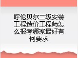 呼伦贝尔二级安装工程造价工程师怎么报考哪家最好有何要求
