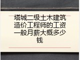 塔城二级土木建筑造价工程师的工资一般月薪大概多少钱