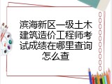 滨海新区一级土木建筑造价工程师考试成绩在哪里查询怎么查