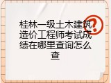 桂林一级土木建筑造价工程师考试成绩在哪里查询怎么查