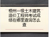 梧州一级土木建筑造价工程师考试成绩在哪里查询怎么查