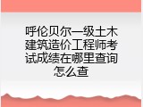 呼伦贝尔一级土木建筑造价工程师考试成绩在哪里查询怎么查
