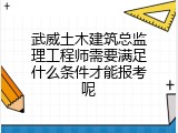 武威土木建筑总监理工程师需要满足什么条件才能报考呢