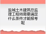 盐城土木建筑总监理工程师需要满足什么条件才能报考呢