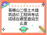 石嘴山二级土木建筑造价工程师考试成绩在哪里查询怎么查