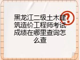 黑龙江二级土木建筑造价工程师考试成绩在哪里查询怎么查