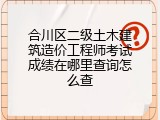 合川区二级土木建筑造价工程师考试成绩在哪里查询怎么查