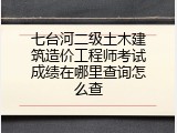 七台河二级土木建筑造价工程师考试成绩在哪里查询怎么查