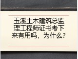 玉溪土木建筑总监理工程师证书考下来有用吗，为什么？