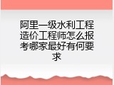 阿里一级水利工程造价工程师怎么报考哪家最好有何要求