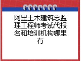 阿里土木建筑总监理工程师考试代报名和培训机构哪里有