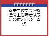 泰安二级交通运输造价工程师考试成绩公布时间如何查询