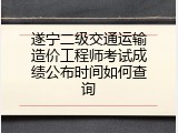 遂宁二级交通运输造价工程师考试成绩公布时间如何查询