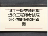 湛江一级交通运输造价工程师考试成绩公布时间如何查询