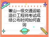 鞍山一级交通运输造价工程师考试成绩公布时间如何查询