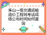 乐山一级交通运输造价工程师考试成绩公布时间如何查询