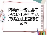 阿勒泰一级安装工程造价工程师考试成绩在哪里查询怎么查