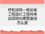 呼和浩特一级安装工程造价工程师考试成绩在哪里查询怎么查