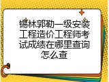 锡林郭勒一级安装工程造价工程师考试成绩在哪里查询怎么查