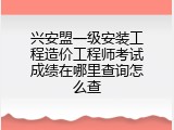 兴安盟一级安装工程造价工程师考试成绩在哪里查询怎么查