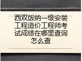西双版纳一级安装工程造价工程师考试成绩在哪里查询怎么查