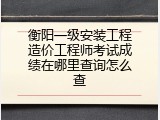 衡阳一级安装工程造价工程师考试成绩在哪里查询怎么查