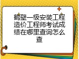 鹤壁一级安装工程造价工程师考试成绩在哪里查询怎么查