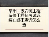 阜阳一级安装工程造价工程师考试成绩在哪里查询怎么查