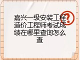 嘉兴一级安装工程造价工程师考试成绩在哪里查询怎么查