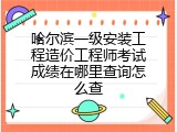 哈尔滨一级安装工程造价工程师考试成绩在哪里查询怎么查