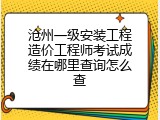 沧州一级安装工程造价工程师考试成绩在哪里查询怎么查