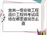 宜宾一级安装工程造价工程师考试成绩在哪里查询怎么查