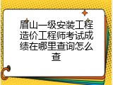 眉山一级安装工程造价工程师考试成绩在哪里查询怎么查