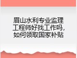 眉山水利专业监理工程师好找工作吗，如何领取国家补贴