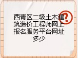 西青区二级土木建筑造价工程师网上报名服务平台网址多少